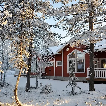 Levinsatu: Selevi And Talevi Levi