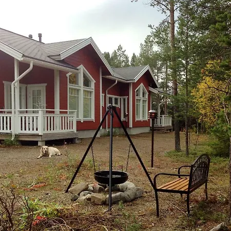 Levinsatu: Selevi And Talevi Levi