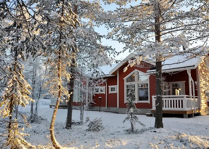 Levinsatu: Selevi And Talevi Levi